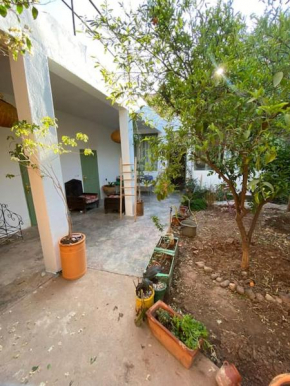Ali's House